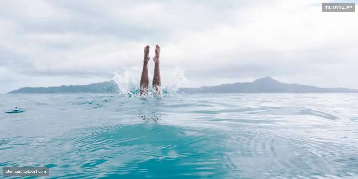 华体会HTH——✨ 用代码编织梦想，让每个像素都充满惊喜！👾